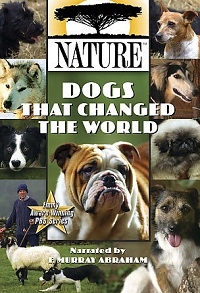 Собаки, которые изменили мир